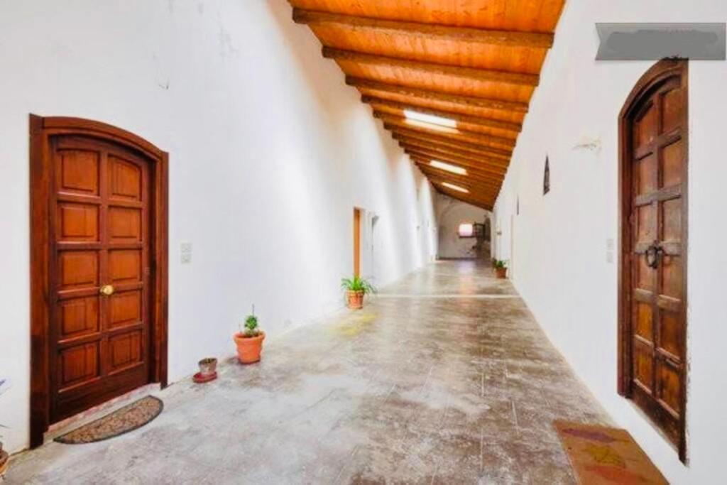 Wonderful Apartment In Old Alghero Kültér fotó